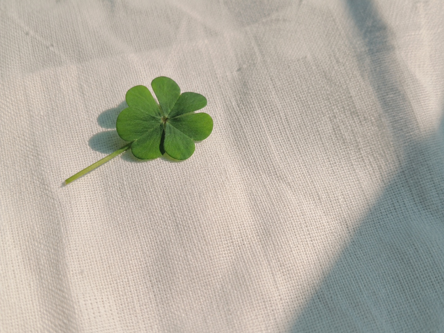 Conceptual illustration of cupped hands gathering luck symbols — a four-leaf clover, a charm, coins, a star — drawn in as light, evoking Korea's luckmaxxing impulse to actively collect good fortune.